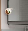 Citrus Glow Aromatic Wax Pendant Air Freshner
