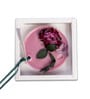 Floral Breeze Aromatic Wax Pendant Air Freshner