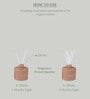 French Quarter Aroma Reed Diffuser