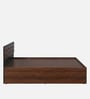 Aarya Queen Size Bed in Sandal Wood Finish with Box Storage