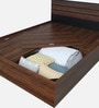 Aarya Queen Size Bed in Sandal Wood Finish with Box Storage