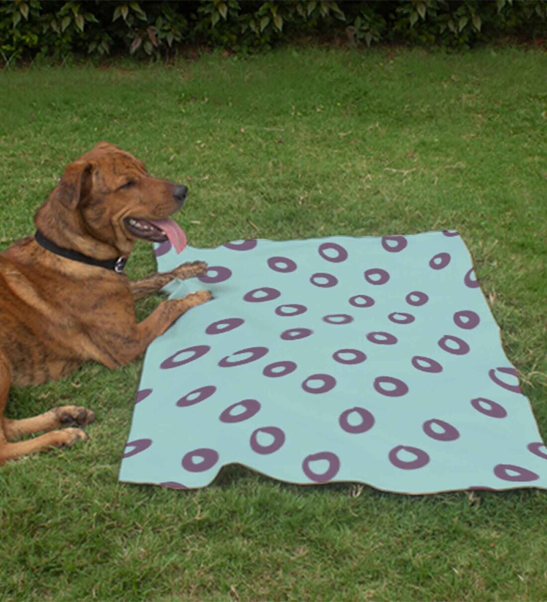 Buy Abstract Pattern Medium Green Fabric Dog Blanket Online Pet