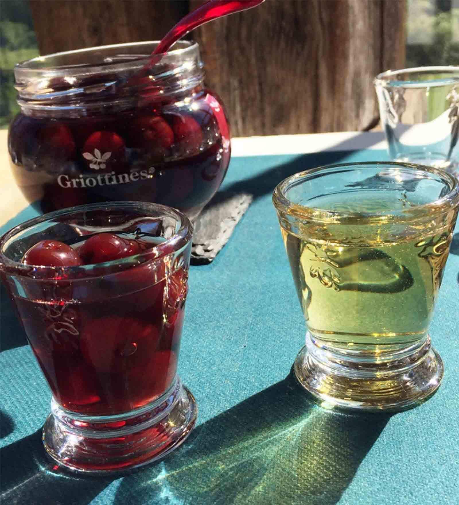 Abeille Transparent Glass ( Set of 6 ) Shot Glasses