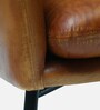 Abbot Leather Arm Chair In Tan Colour