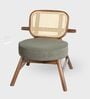 Abby Plush chair In Walnut Colour