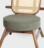 Abby Plush chair In Walnut Colour