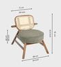 Abby Plush chair In Walnut Colour