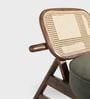 Abby Plush chair In Walnut Colour