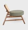 Abby Plush chair In Walnut Colour