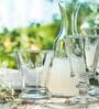 Abeille Transparent Glass ( Set of 4 ) Everyday Glasses