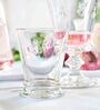 Abeille Transparent Glass ( Set of 6 ) Cocktail Glasses