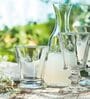 Abeille Transparent Glass ( Set of 6 ) Wine Glass
