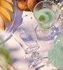 Abeille Transparent Glass ( Set of 6 ) Wine Glass