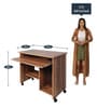 Abigali Computer Table in Choco Walnut Colour
