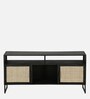 Abner Metal TV Console In Black Finish For TVs Up To 43"
