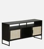 Abner Metal TV Console In Black Finish For TVs Up To 43"