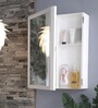 ABS Flora Plastic Bathroom Cabinet with Mirror White