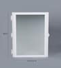 ABS Flora Plastic Bathroom Cabinet with Mirror White