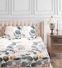 Multicolor Floral 210 TC Cotton Queen Sized Bed Sheets with 2 Pillow Covers