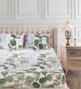 Green Floral 210 TC Cotton Queen Sized Bed Sheets with 2 Pillow Covers