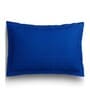Blue Striped 220 TC Cotton King Sized Bed Sheets with 2 Pillow Covers