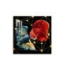 Abstract Betta Fish Glass Finish Square Wall Art