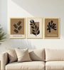 Botanical Cut Paper Wall Art Framed Set of 3