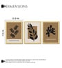 Botanical Cut Paper Wall Art Framed Set of 3