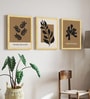 Botanical Cut Paper Wall Art Framed Set of 3
