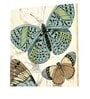 22 Inches Butterflie Canvas Stretched Wall Art Painting