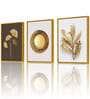Abstract Modern Golden Leaf Wall Art Luxury Circle Poster Print Nordic Framed Wall Art Prints