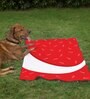 Abstract Pattern- Medium Red & White Fabric Dog Blanket