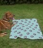 Abstract Pattern- Small Green Fabric Dog Blanket
