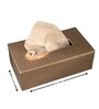 Abstract Solid Leather Tissue box