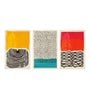 Beautiful Multicolour Cotton Canvas Framed Art Print Set of 3