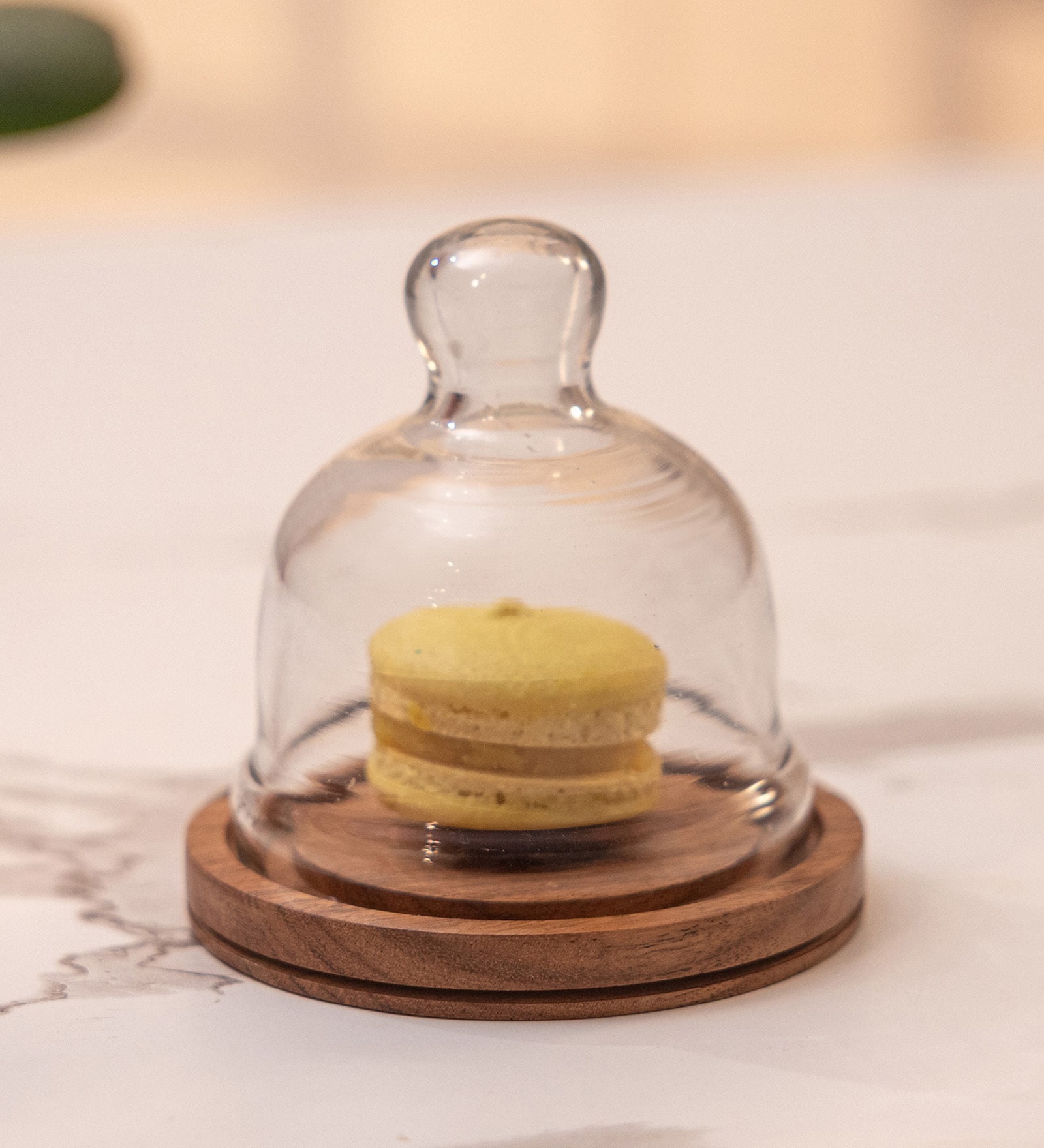 Acacia Wood Cake Dome