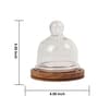 Acacia Wood Cake Dome