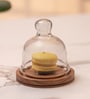 Acacia Wood Cake Dome