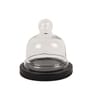 Acacia Wood Cake Dome