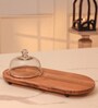 Acacia Wood Cake Dome