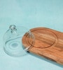 Acacia Wood Cake Dome