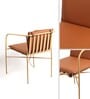 Acai Metal Arm Chair in Brown Color