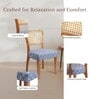 Acai Solid Wood Dining Chair in Blue Color