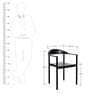 Metal Chair (Set Of 2) in Black Colour