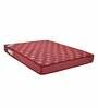 Ace 6 inch Bonnell Spring Single Mattress