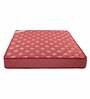 Ace 6 inch Bonnell Spring Single Mattress