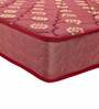 Ace 6 inch Bonnell Spring Single Mattress