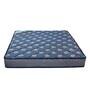 Ace 8 inch Bonnell Spring King Size Mattress in Blue Colour