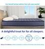 Ace 8 inch Bonnell Spring King Size Mattress in Blue Colour