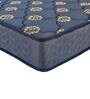 Ace 8 inch Bonnell Spring King Size Mattress in Blue Colour